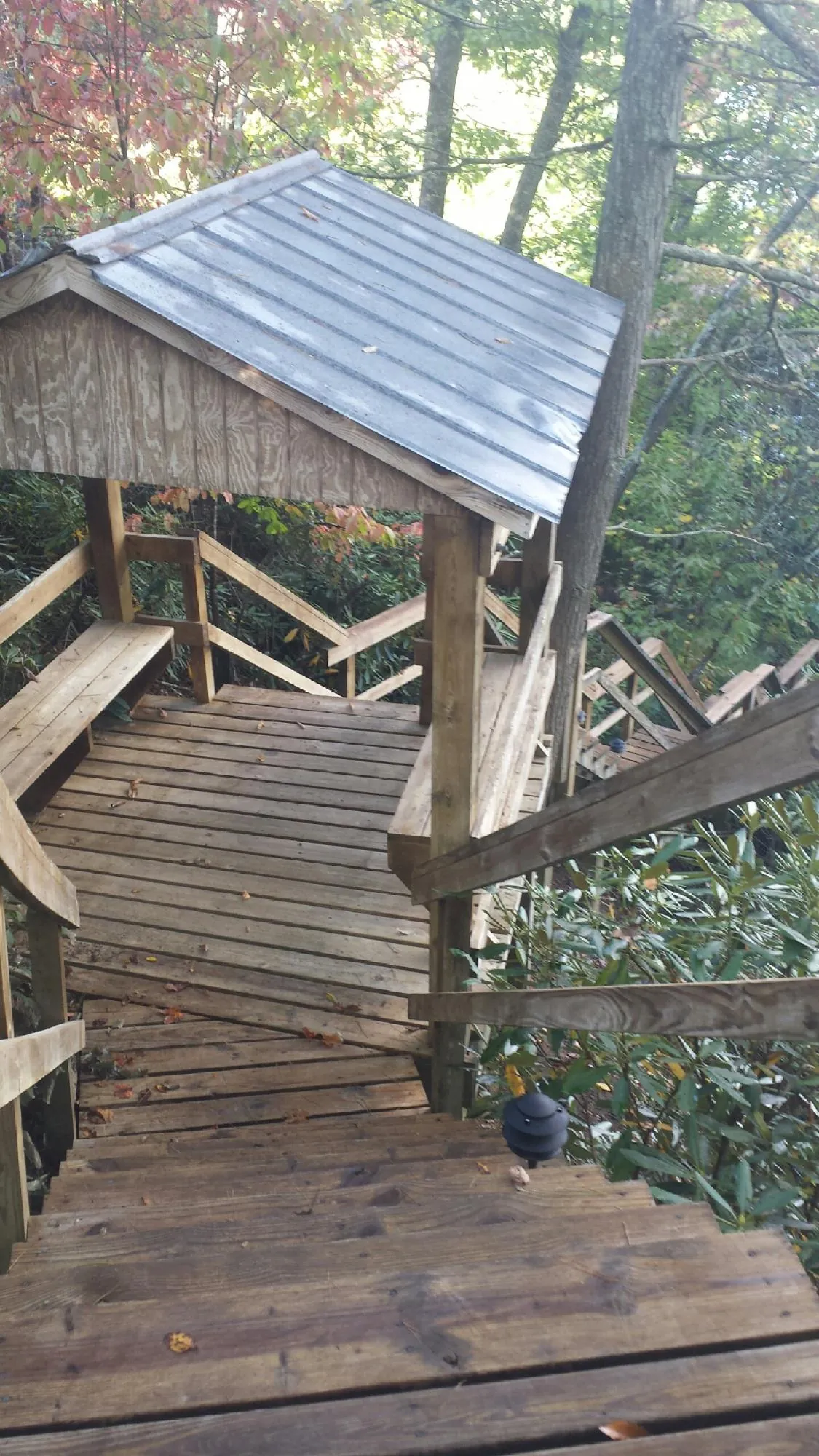 Metal roofed shelter over wooden steps on a wooded walkway — Skylight Repair & Installation work by our crew in Belle Rose