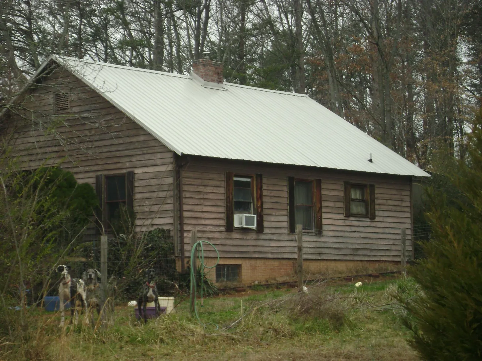 White metal roof on an old wood sided farmhouse, from a Asphalt Shingle Roof Repair job in Belle Rose